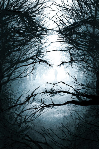 Pareidolia by Paintpaul