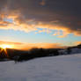 Good night sun