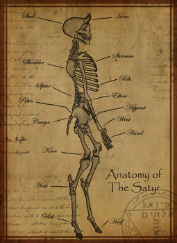 Anatomy of The Satyr