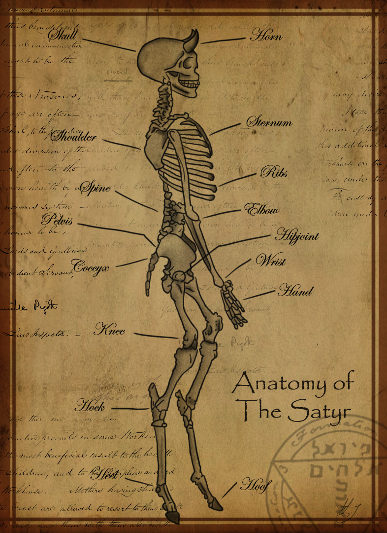 Anatomy of The Satyr by Shadowglove on DeviantArt