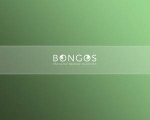 Bongos Wallpaper