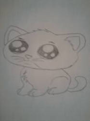 My kitty drawing