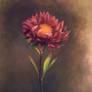 Flower painting 2