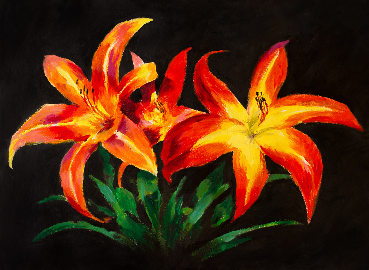 Day Lilies