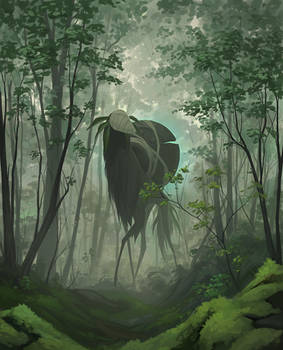 Calm Forest