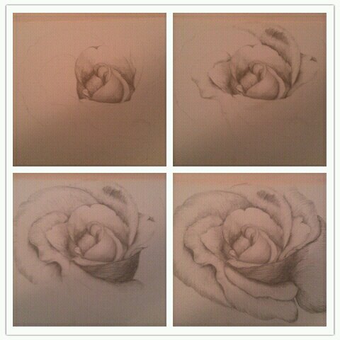 Rose Graphite Color Graphite Rose by eeffervescentt on DeviantArt
