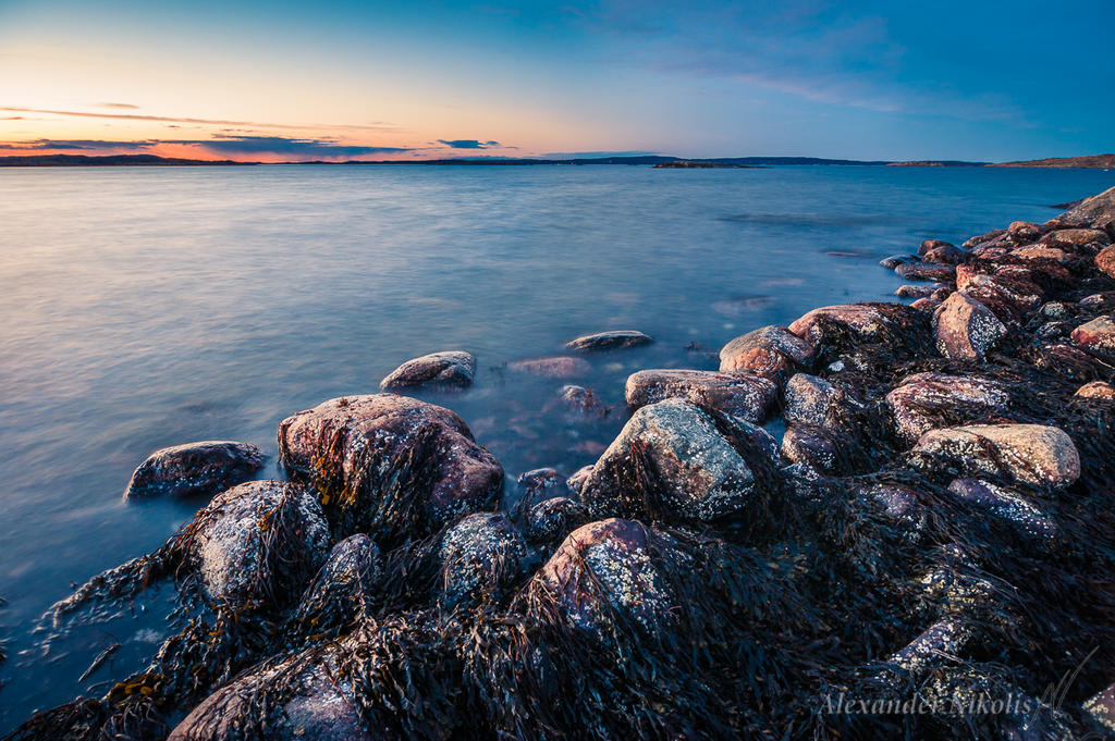 Stones and Seaweed