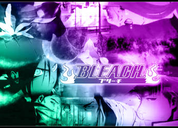 Bleach 13th