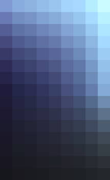 Winter Violet