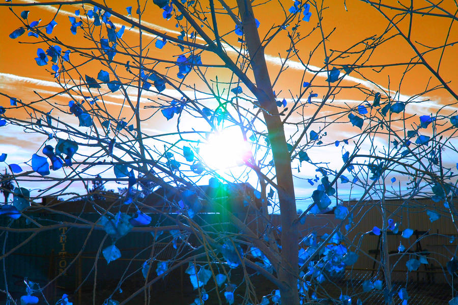 Inverted Color Sunset Inverted sunset by Masahiro-DanielS on DeviantArt