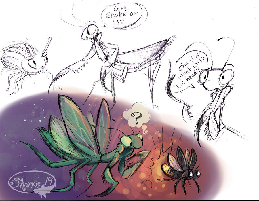 Mants Deviantart Mantis by sharkie19 on DeviantArt