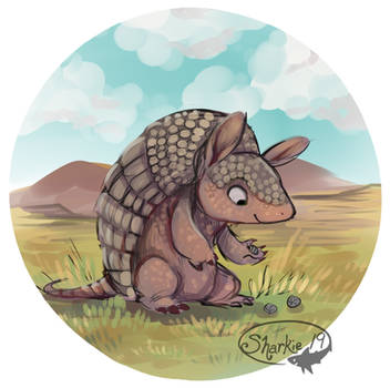 Armadillo