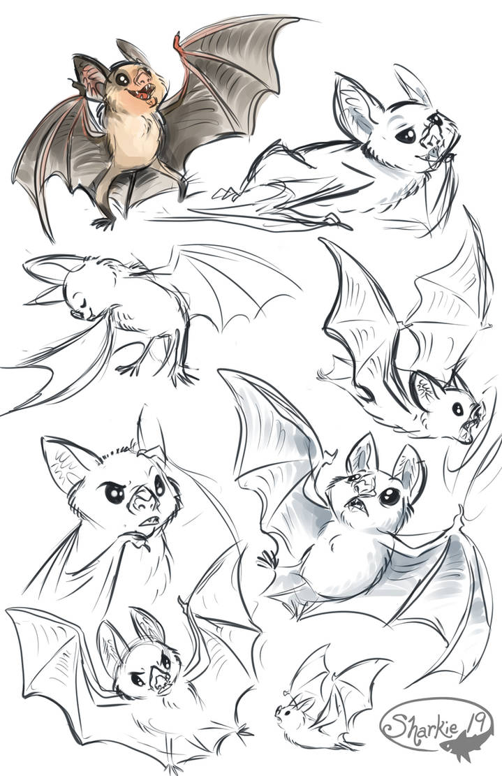 Vampire Bats by sharkie19 on DeviantArt