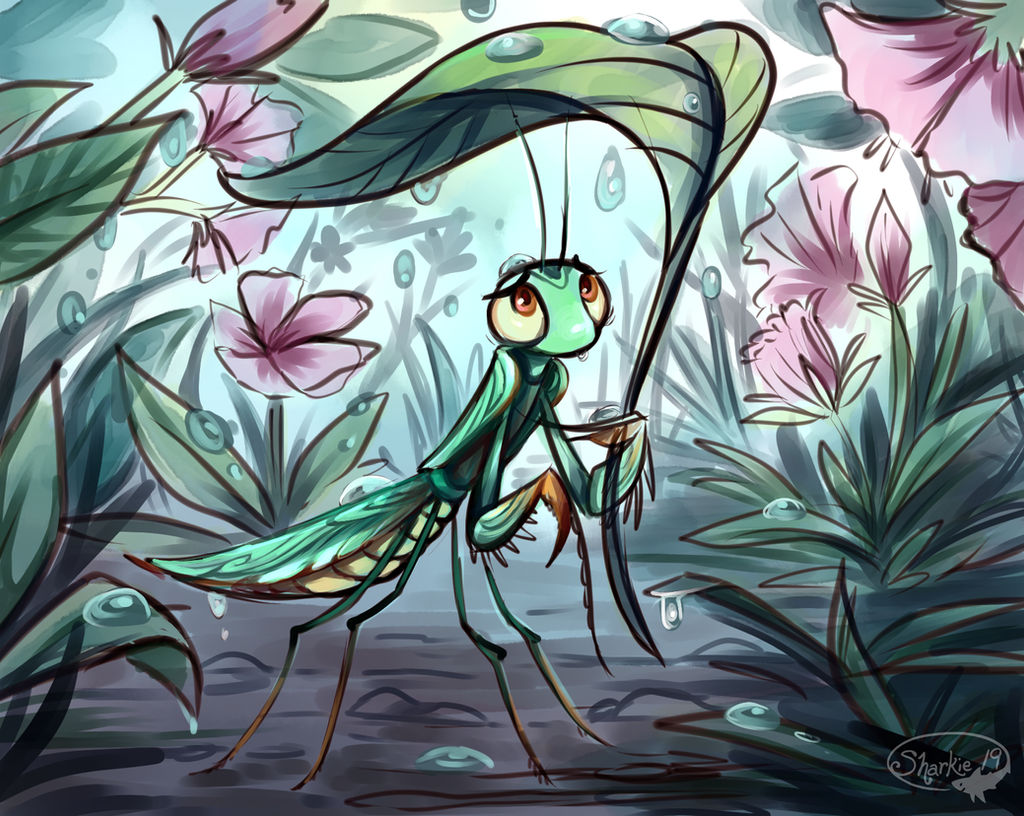 Mants Deviantart Mantis 2 by sharkie19 on DeviantArt