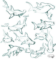 Hammerheads