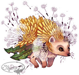 Dandelion Hedgehog
