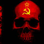 Cold War-Era Skull