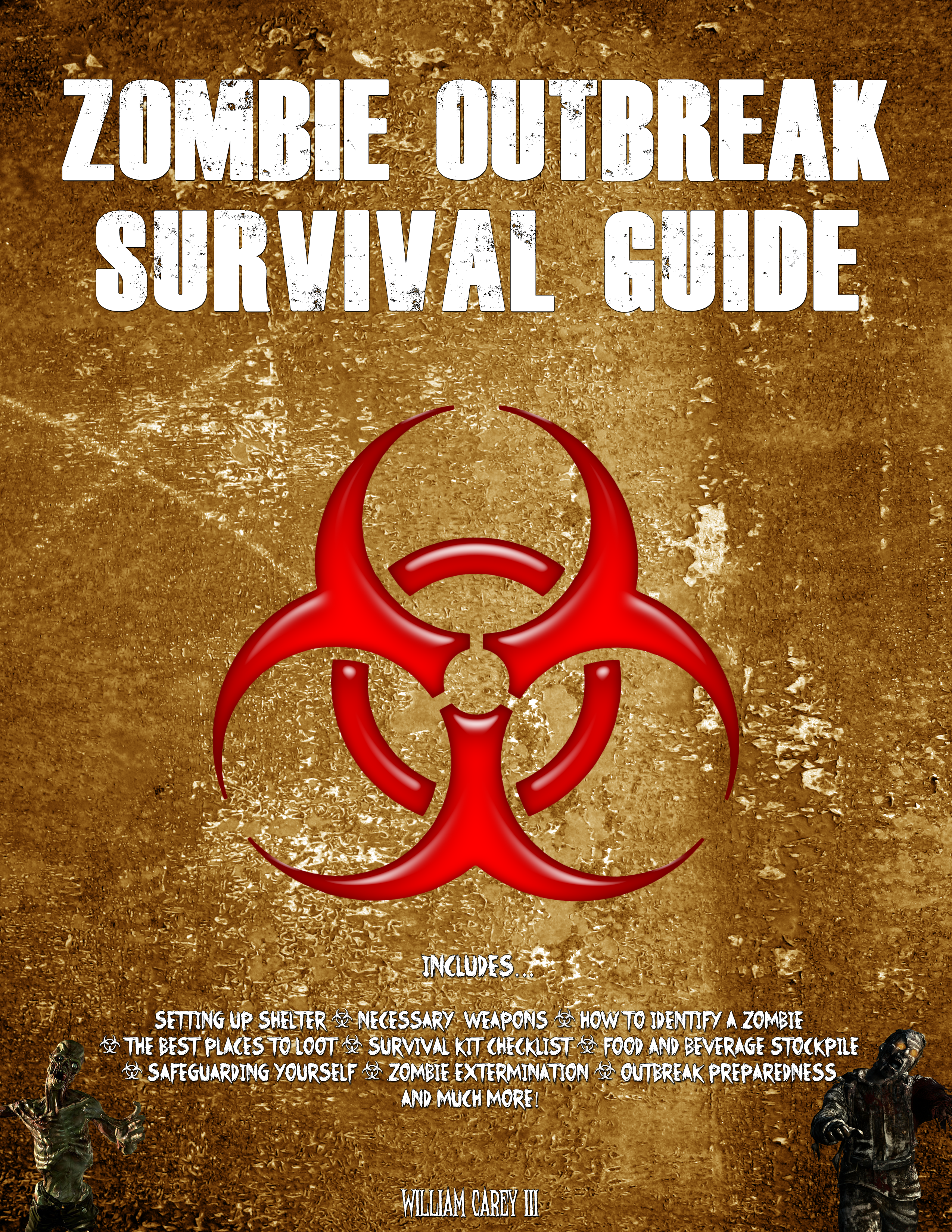 Zombie Outbreak Survival Guide