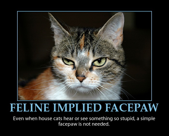 Feline Implied Facepaw