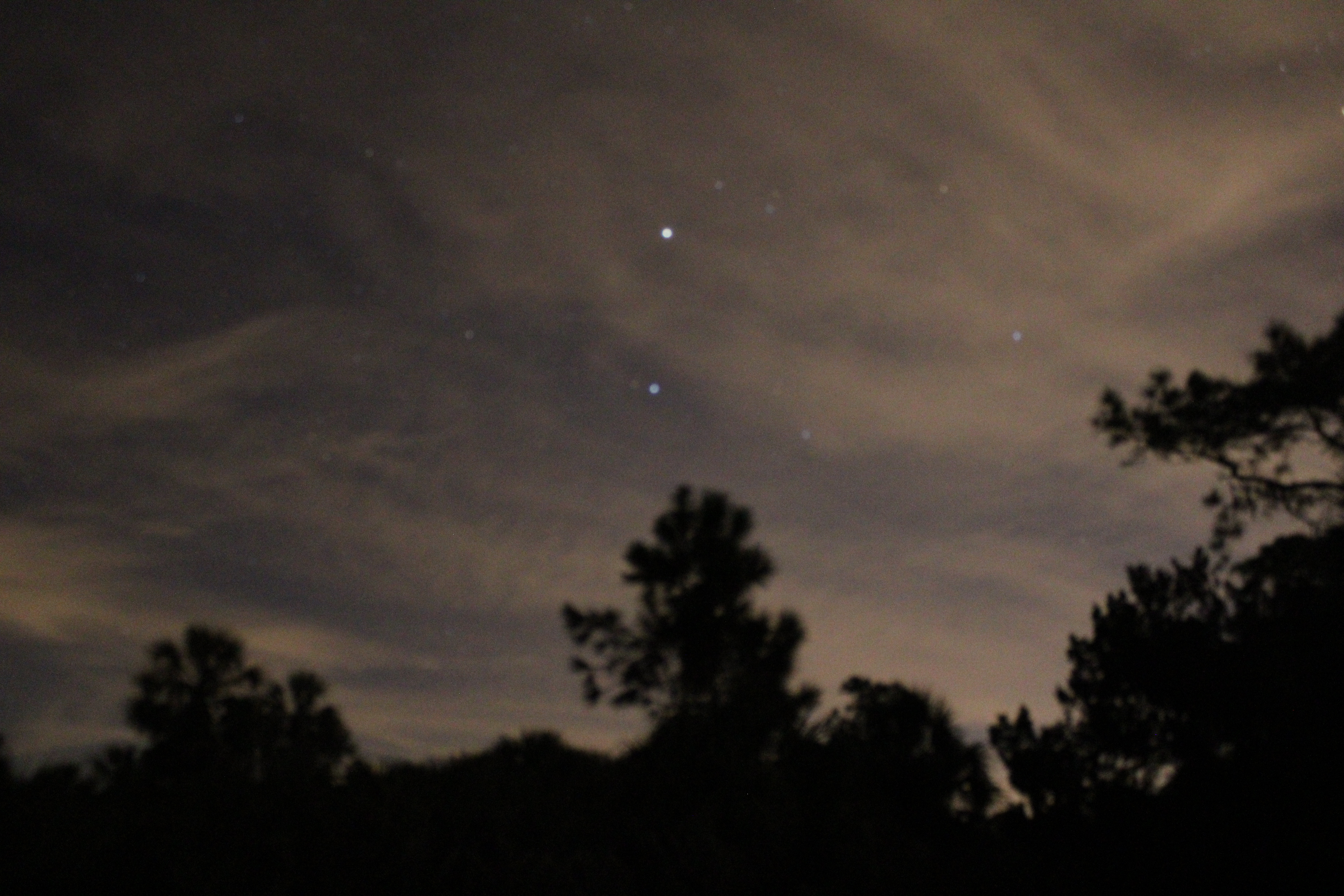 Night Shot