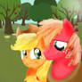 Big Macintosh and Applejack