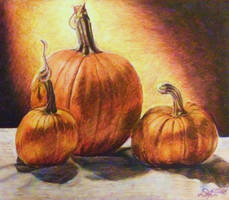 Pumpkins still life