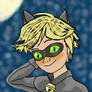 Chat Noir por SatarBone