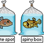 OPEN for Adoption - Tropical.PixelFish.Puffers