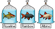 OPEN for Adoption - Tropical.PixelFish.Shark