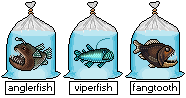 OPEN for Adoption - Adoptable.PixelFish.DeepSea.1 by thetauche