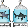 OPEN for Adoption - Adoptable.PixelFish.Sharks