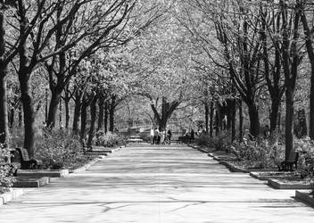 Parc Lafontaine Mtl