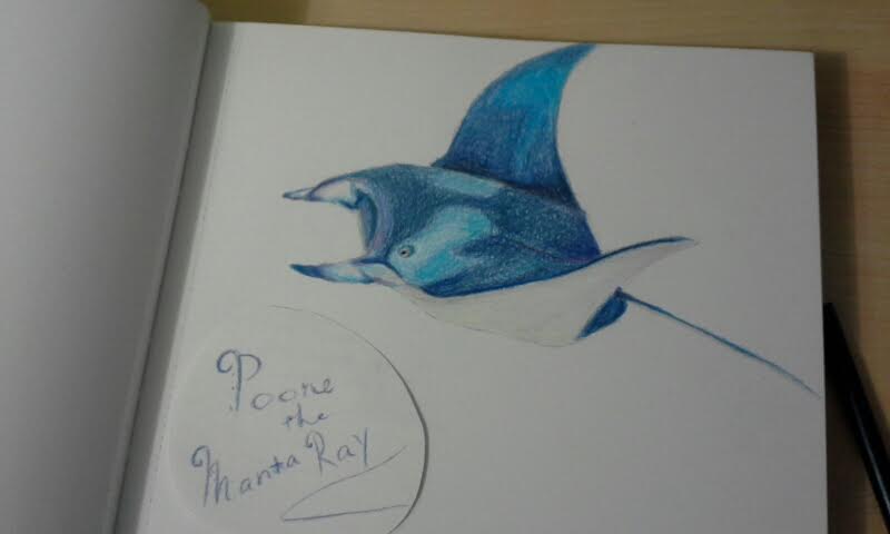 Poone The Manta Ray