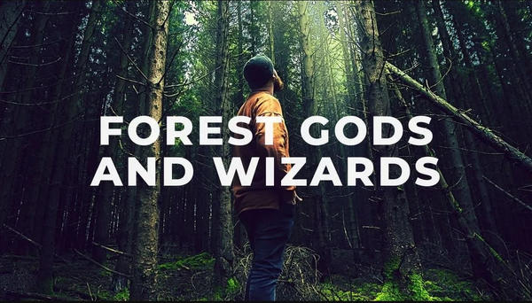 Tapio, forest gods and wizards