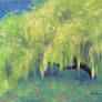 Weeping Willow