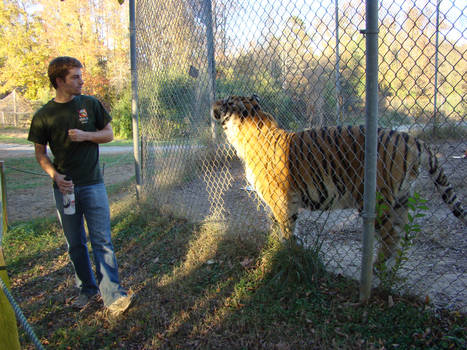 Carolina Tiger Rescue