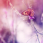 Playboy by JunJun510