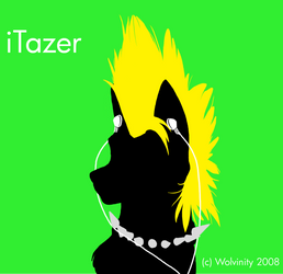 iTazer