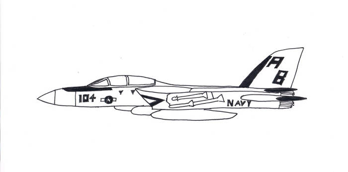 USN F-14 Tomcat (rough)