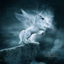 .:Unicorn:.