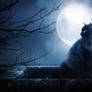 .:Full Moon:.