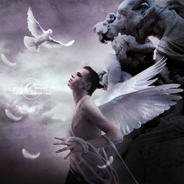 .:The Fallen II:. by moroka323