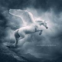 .:Unicorn II:.