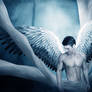 .:The regret II:.