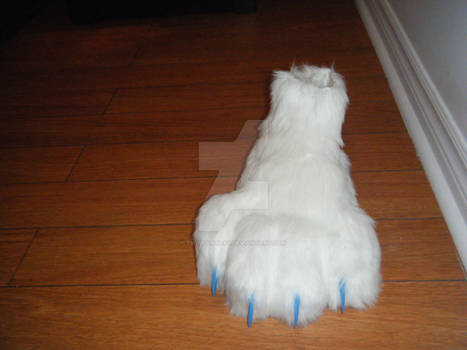 Cosplay Paw