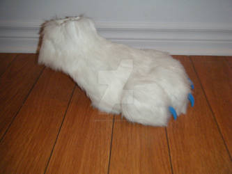 Cosplay Paw profil