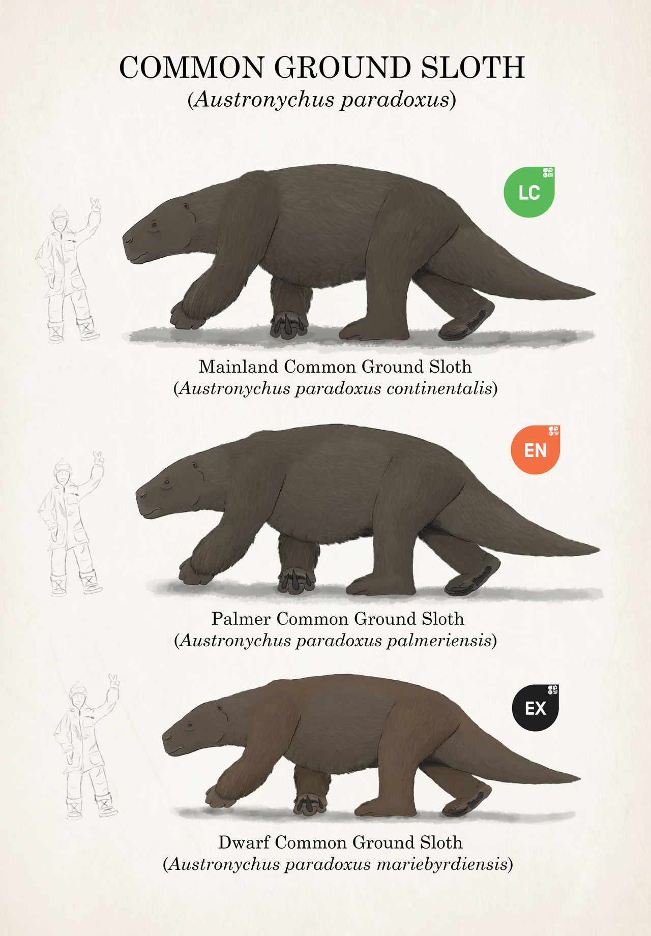 Iceless - Common Ground Sloth by sadbaryonyxthe3rd on DeviantArt