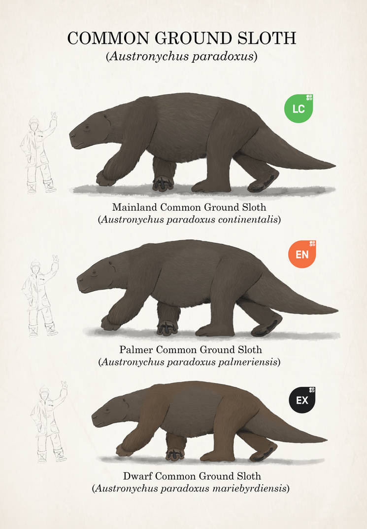 Iceless - Common Ground Sloth by sadbaryonyxthe3rd on DeviantArt