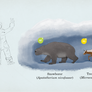 Iceless - The Snowborer and the Trench Unicorn