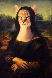 Gato Lisa